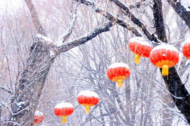 新年都未有芳华，二月当心倒春寒（诚邀至幸访画家——记中国著名实力派画家李世新）