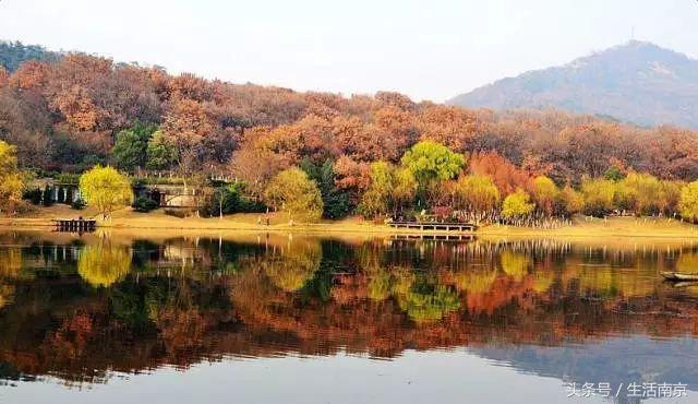 这才是南京人过年最值得去的17个地方，南京旅游攻略春节