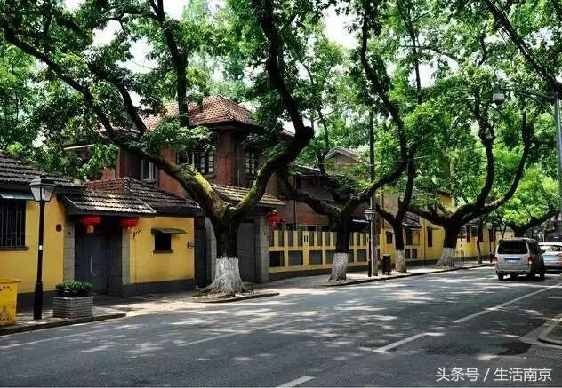 这才是南京人过年最值得去的17个地方，南京旅游攻略春节