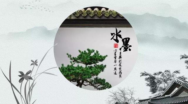 袁枚诗人最出名的诗，除了突然爆红的苔