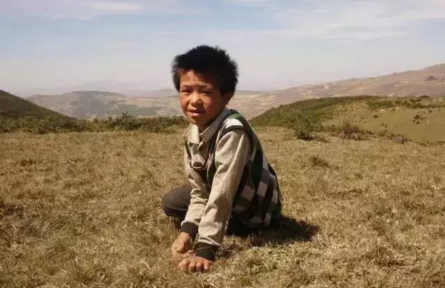 品读诗歌感受诗歌的魅力，用诗歌照亮乌蒙山的天空