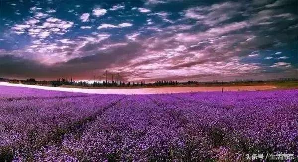 这才是南京人过年最值得去的17个地方，南京旅游攻略春节