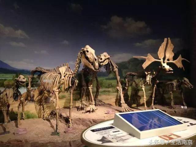 这才是南京人过年最值得去的17个地方，南京旅游攻略春节