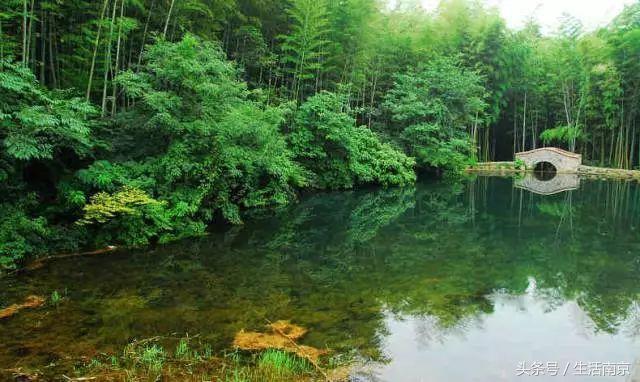 这才是南京人过年最值得去的17个地方，南京旅游攻略春节