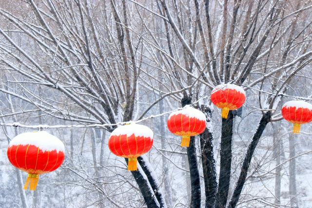 新年都未有芳华，二月当心倒春寒（诚邀至幸访画家——记中国著名实力派画家李世新）