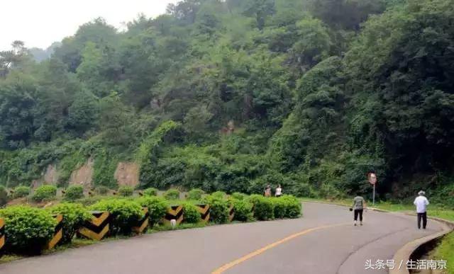 这才是南京人过年最值得去的17个地方，南京旅游攻略春节