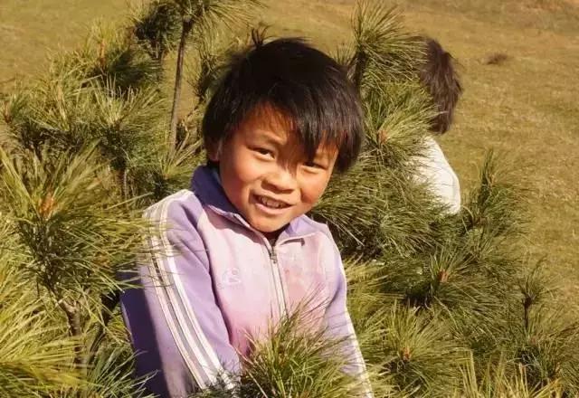 品读诗歌感受诗歌的魅力，用诗歌照亮乌蒙山的天空