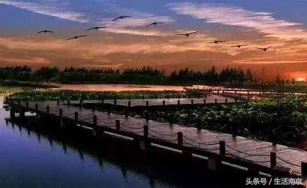 这才是南京人过年最值得去的17个地方，南京旅游攻略春节