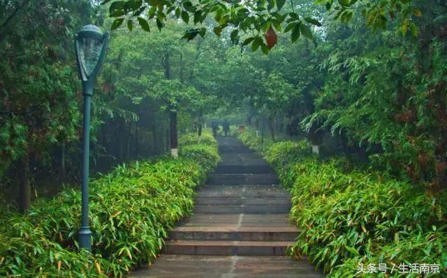 这才是南京人过年最值得去的17个地方，南京旅游攻略春节