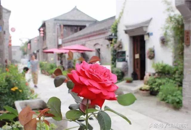 这才是南京人过年最值得去的17个地方，南京旅游攻略春节