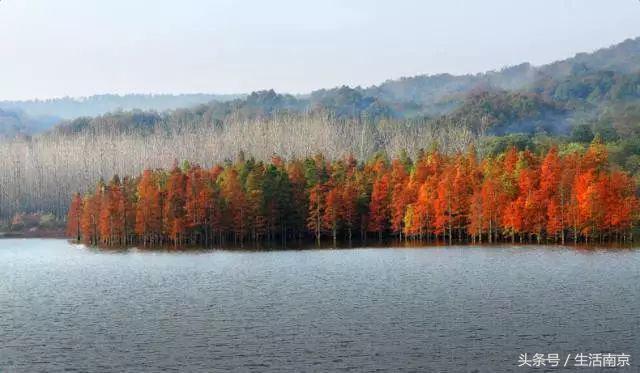 这才是南京人过年最值得去的17个地方，南京旅游攻略春节