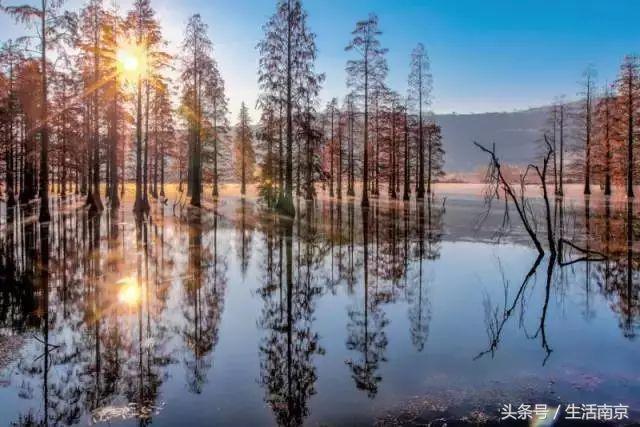 这才是南京人过年最值得去的17个地方，南京旅游攻略春节