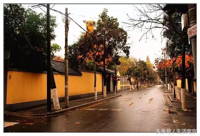 这才是南京人过年最值得去的17个地方，南京旅游攻略春节