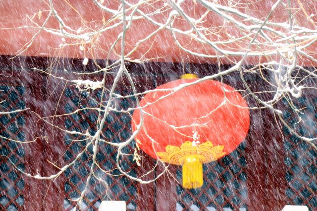 新年都未有芳华，二月当心倒春寒（诚邀至幸访画家——记中国著名实力派画家李世新）