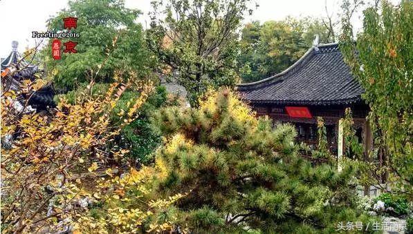 这才是南京人过年最值得去的17个地方，南京旅游攻略春节