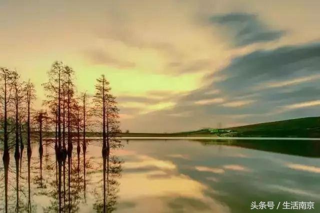 这才是南京人过年最值得去的17个地方，南京旅游攻略春节