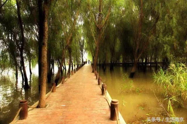 这才是南京人过年最值得去的17个地方，南京旅游攻略春节