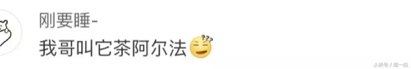 那些口误爆笑瞬间，你们都是猴子派来的逗比吗哈哈哈