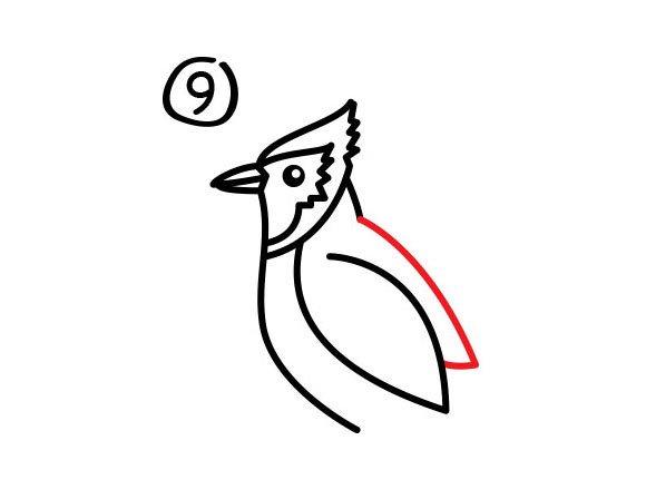 会飞小鸟怎么画简单又好看，9种小鸟简笔画的画法