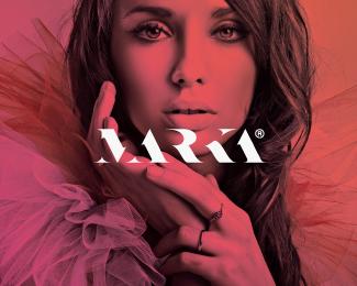 各种品牌logo设计图，形意兼备的52款简洁的品牌标志logo设计分享