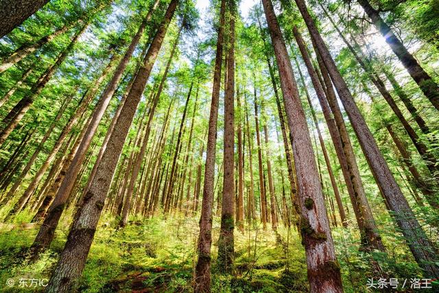 各地方言你知道多少，最全的方言你知道多少