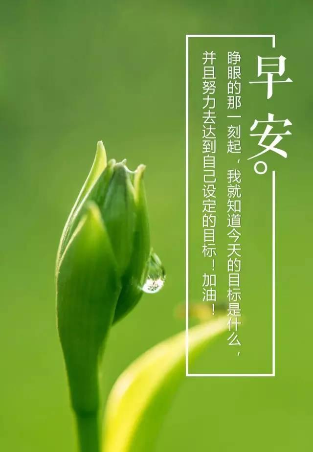 周末早晨好问候语录正能量：一万次心动，不如一次行动