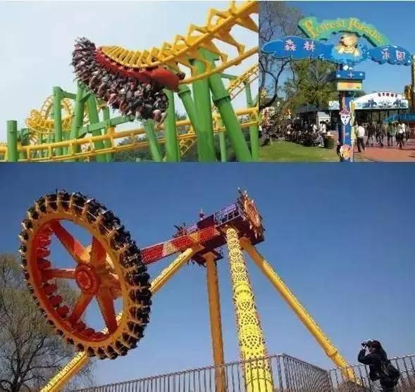 五一去哪玩适合孩子沈阳，沈阳最全周末游玩攻略