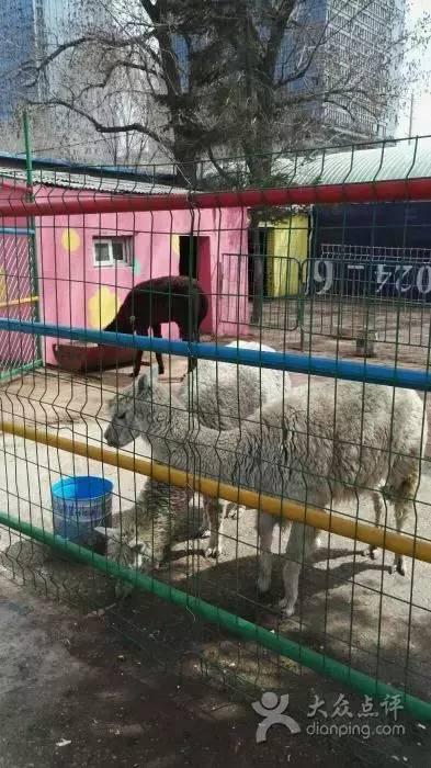 五一去哪玩适合孩子沈阳，沈阳最全周末游玩攻略