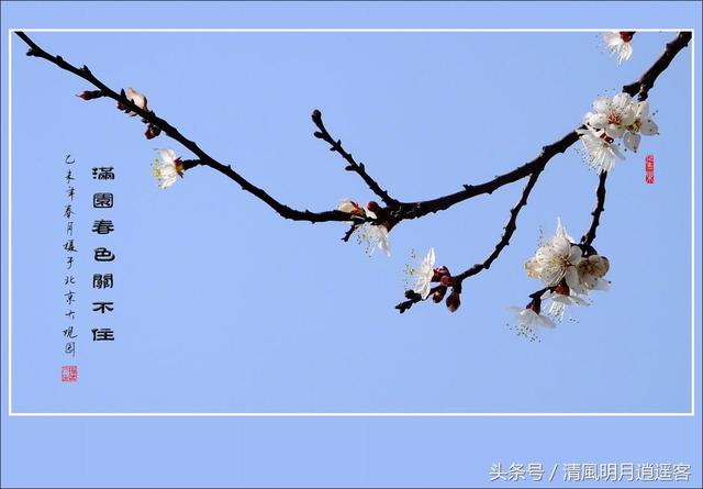 红杏不出墙是什么意思，被误读了千年的