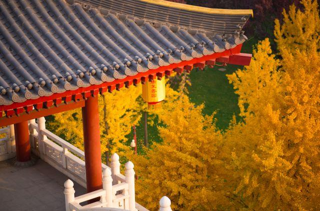 晚安美图180307：让一步是心，退一步是情