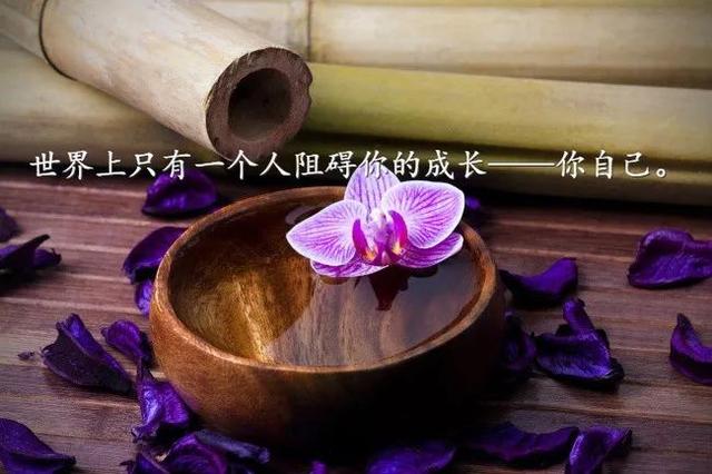 早安心语正能量180307：眼里写满了故事，脸上却不见风霜