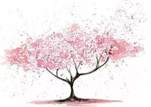 晚安句子180308：谁经得起浮华的绚烂，谁就经得起流年的平淡