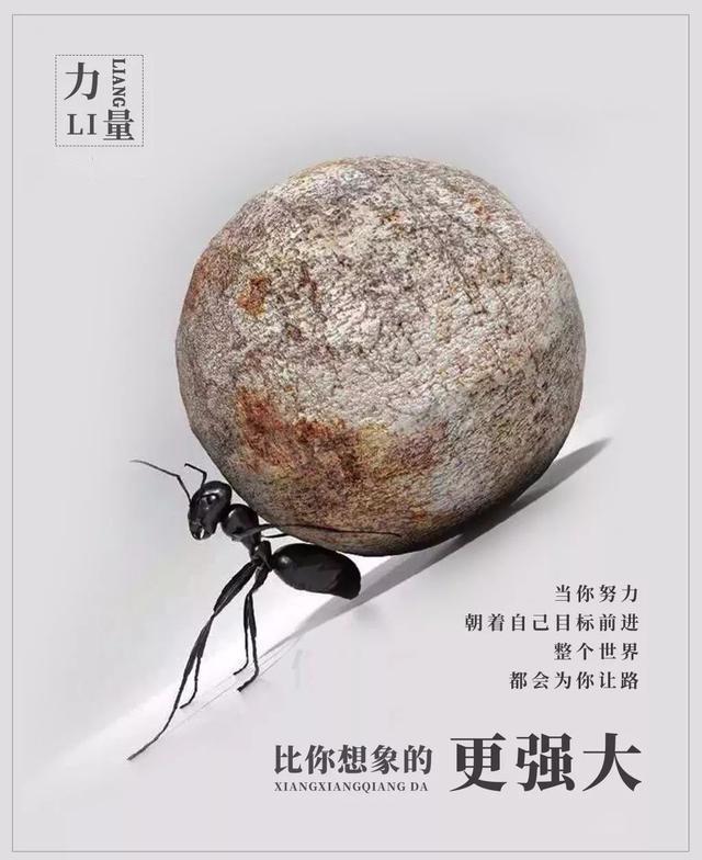 早安正能量句子180401：人生没什么捷径，唯一出路是跟困难死磕