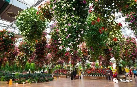 无锡旅游景点排行榜前十名，无锡100个旅游景点你去过几个