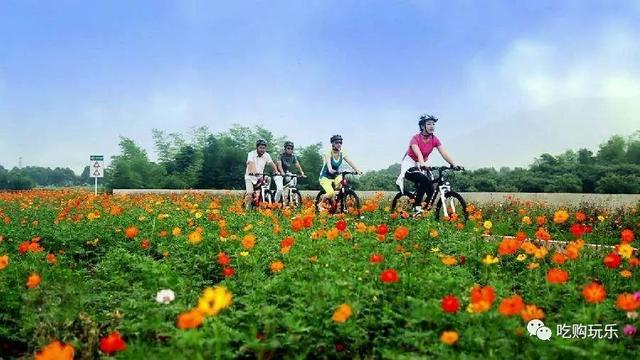 无锡旅游景点排行榜前十名，无锡100个旅游景点你去过几个