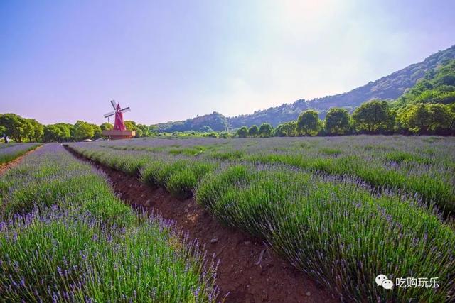 无锡旅游景点排行榜前十名，无锡100个旅游景点你去过几个