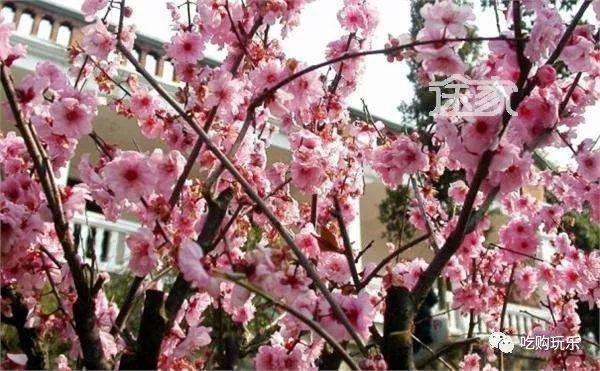 无锡旅游景点排行榜前十名，无锡100个旅游景点你去过几个