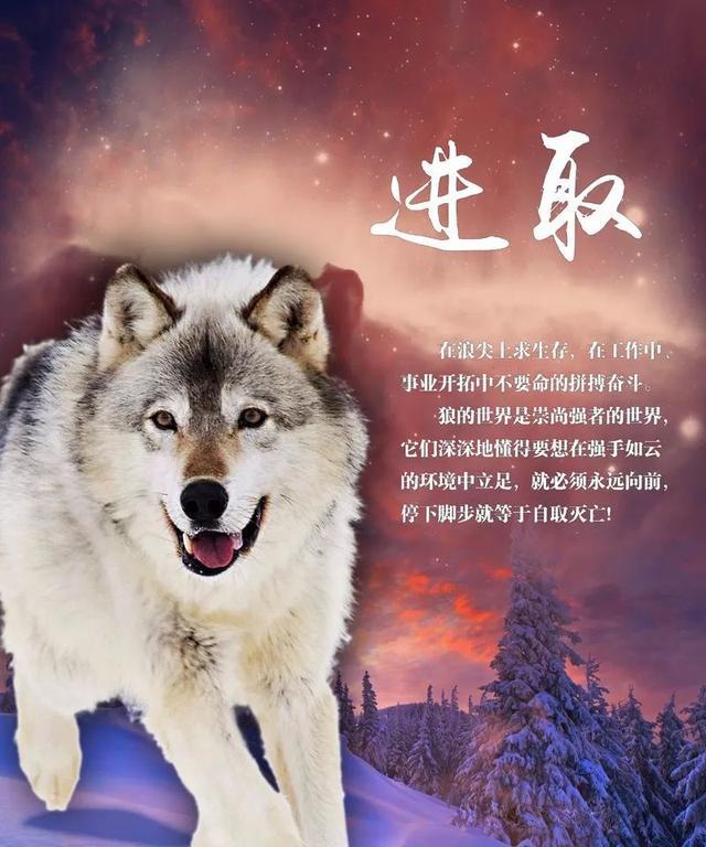 新一周早安正能量问候语：在心里种一棵有梦的树，让它伴我们一起成长