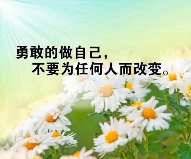 新的一周早安心语励志：始终循着自己的脚步，在不慌不忙中日渐优秀