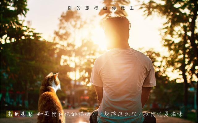 创意旅行明信片，来自泰安旅游的明信片