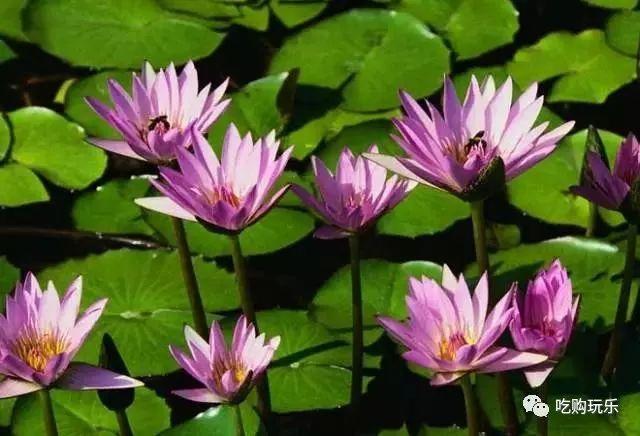 无锡旅游景点排行榜前十名，无锡100个旅游景点你去过几个