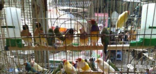 无锡旅游景点排行榜前十名，无锡100个旅游景点你去过几个