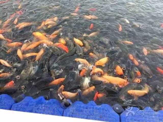 五一去哪玩适合孩子沈阳，沈阳最全周末游玩攻略