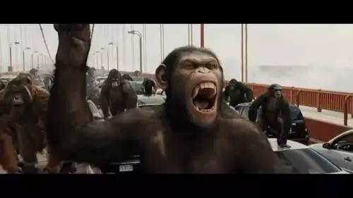 你是猴子请来的救兵吗，你是不是猴子请来的救兵（你是猴子请来的救兵吗）