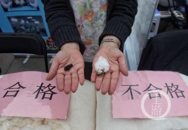 黑心棉到底是不是好棉花，棉絮越白越好专家教你三招鉴别