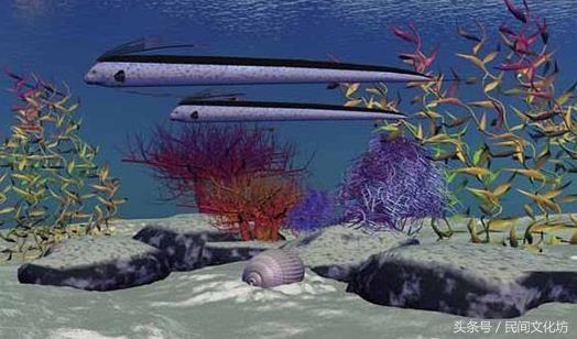 47种自然界傻傻分不清的动物，这些自然界中长相奇特的动物你都见过吗