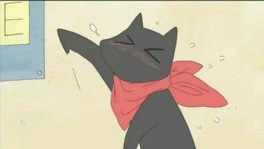 动漫中的猫你会想到哪只呢，6只动漫中的可爱猫咪盘点