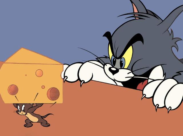 动漫中的猫你会想到哪只呢，6只动漫中的可爱猫咪盘点