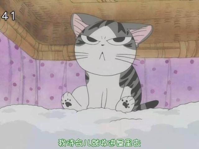 动漫中的猫你会想到哪只呢，6只动漫中的可爱猫咪盘点