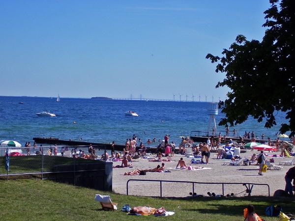 世界前十大沙滩，年世界十大最佳海滩